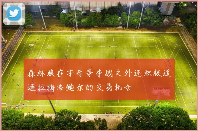 森林狼在字母争夺战之外还积极追逐拉梅洛鲍尔的交易机会