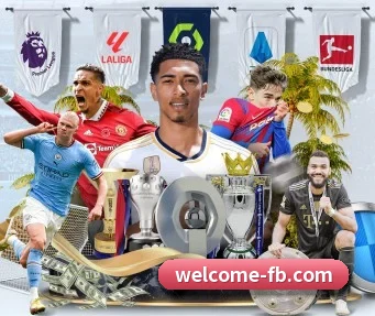 FB体育 APP（FBSports）